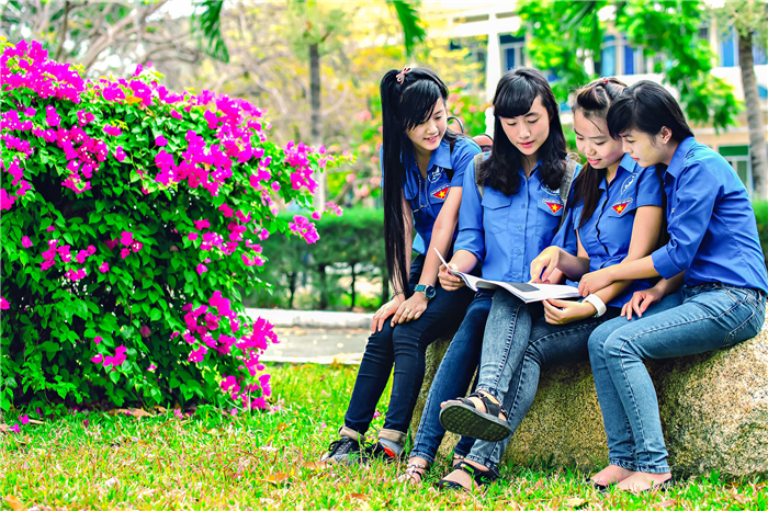 Học nhóm – Huỳnh Lê Hồng Thái