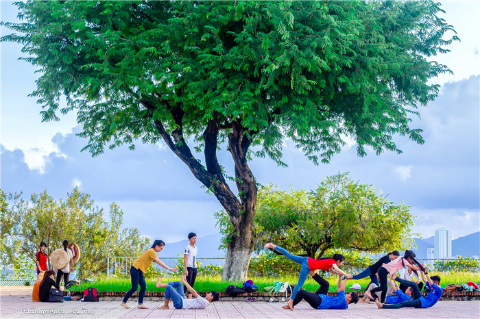 Sinh viên NTU  – Phan Vĩnh Thịnh